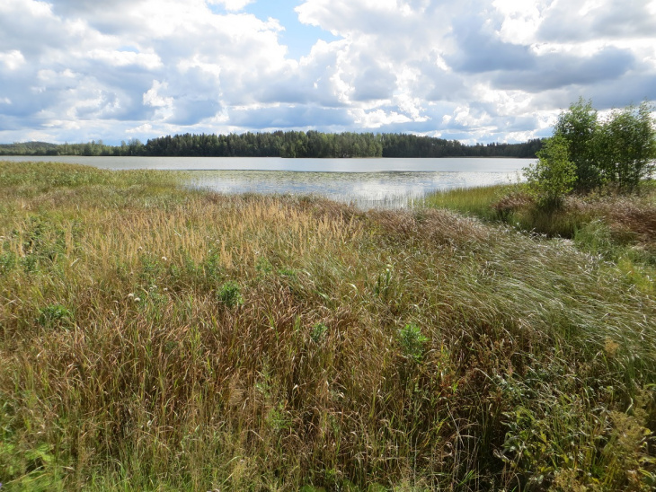 Kilpijärvi Kilpioja