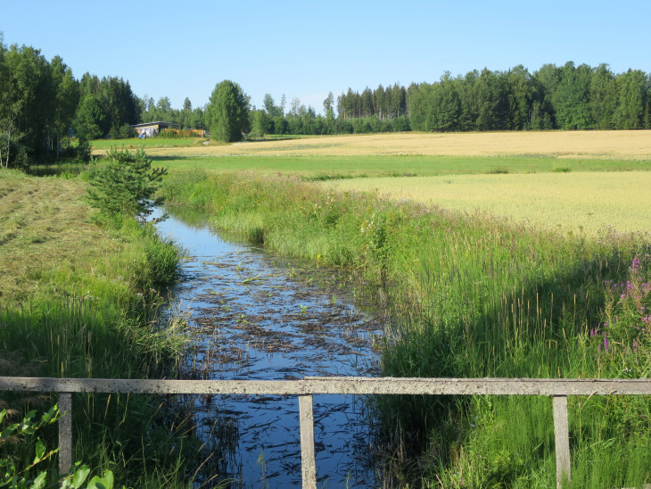 Tiedotekuva ruonanoja 7-2023